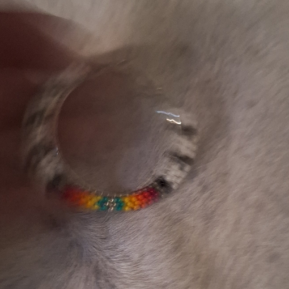 Colorful Beaded Hoop Earrings - Picture 3 of 3